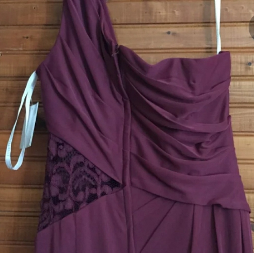 Plum one shoulder mesh dress with lace insert